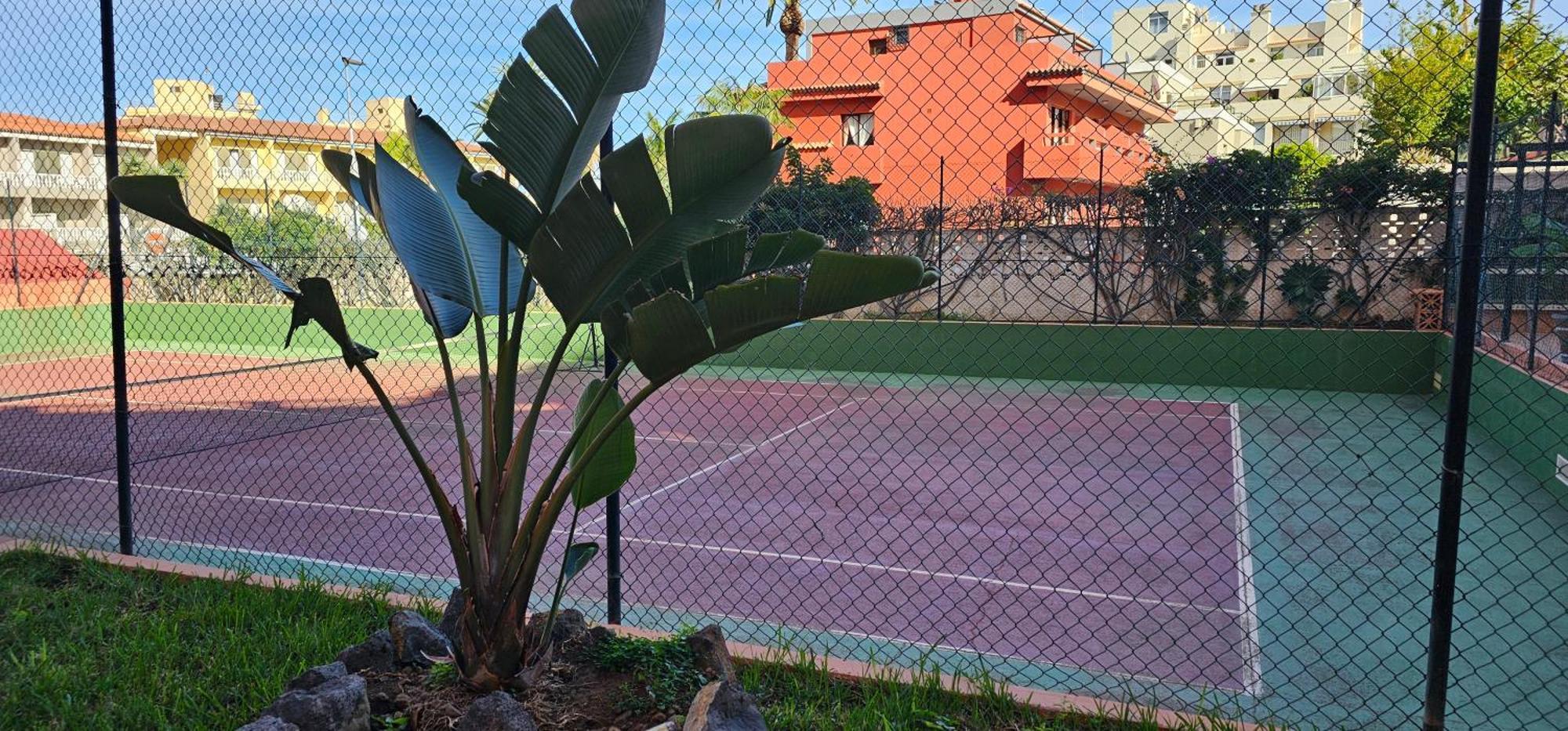 Estudio Tranquilo Cerca Del Mar. Puerto de la Cruz  Eksteriør bilde